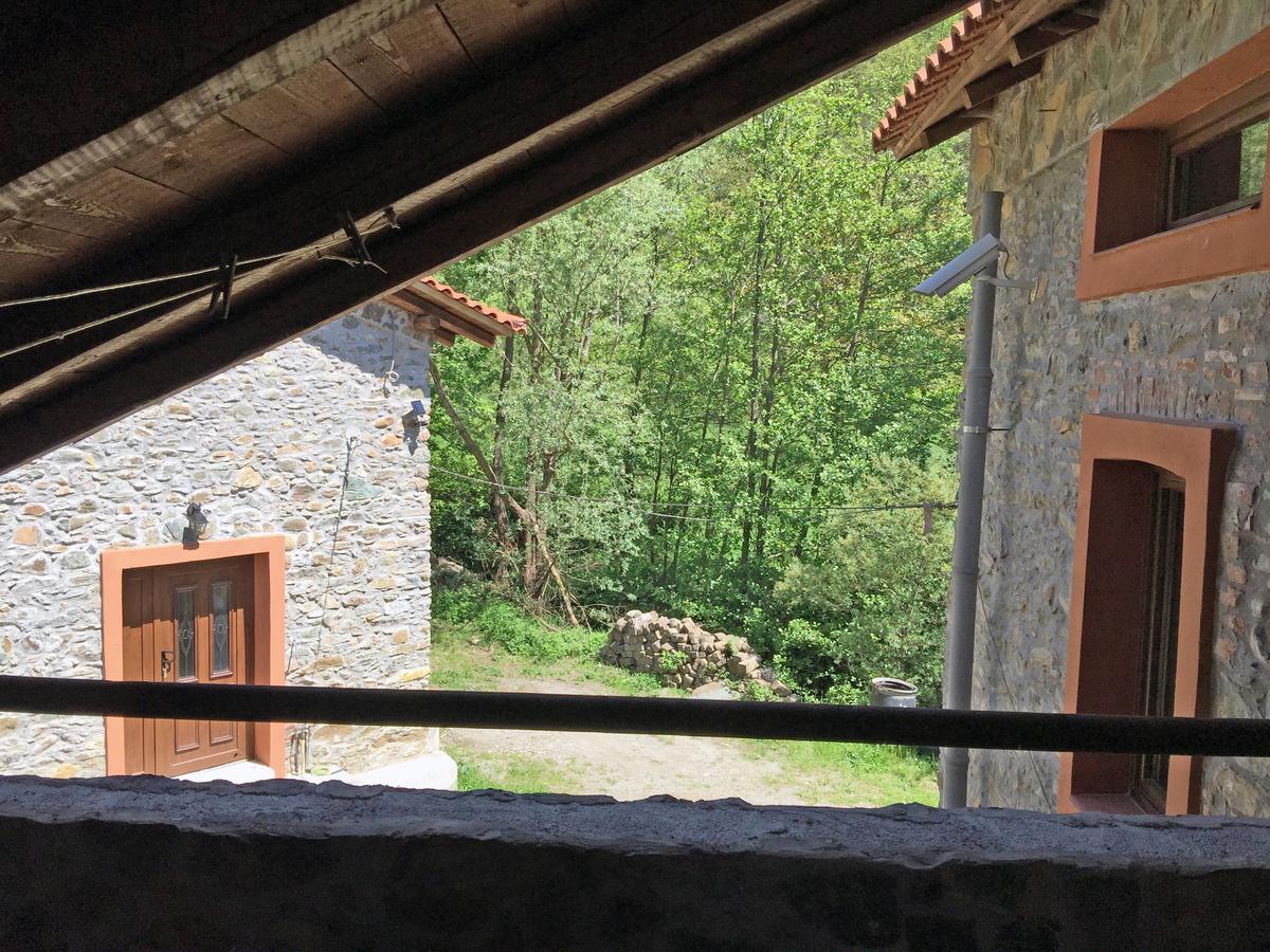 Giusvalla Forest Village Dego Bilik gambar