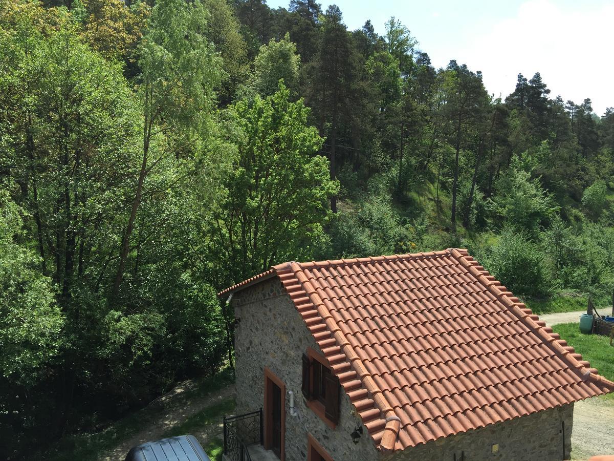 Giusvalla Forest Village Dego Luaran gambar
