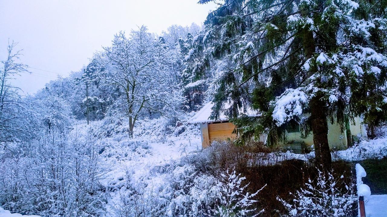 Giusvalla Forest Village Dego Luaran gambar